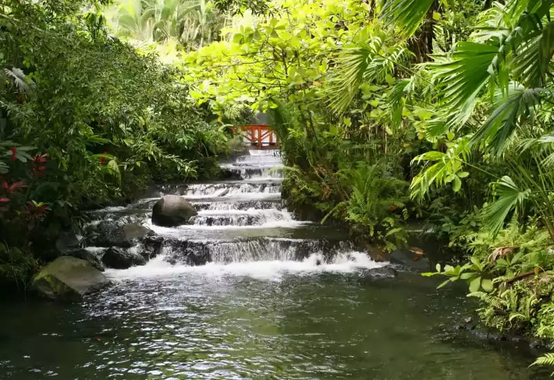 waterfall