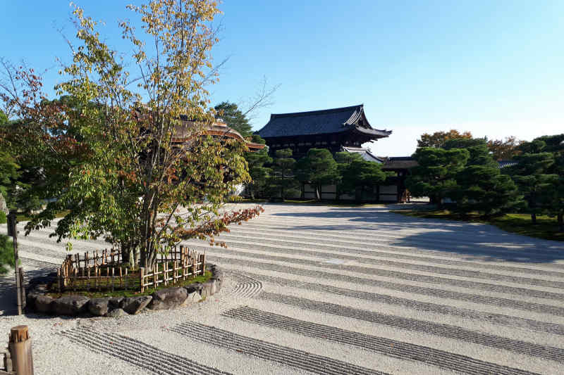 Japanese Garden