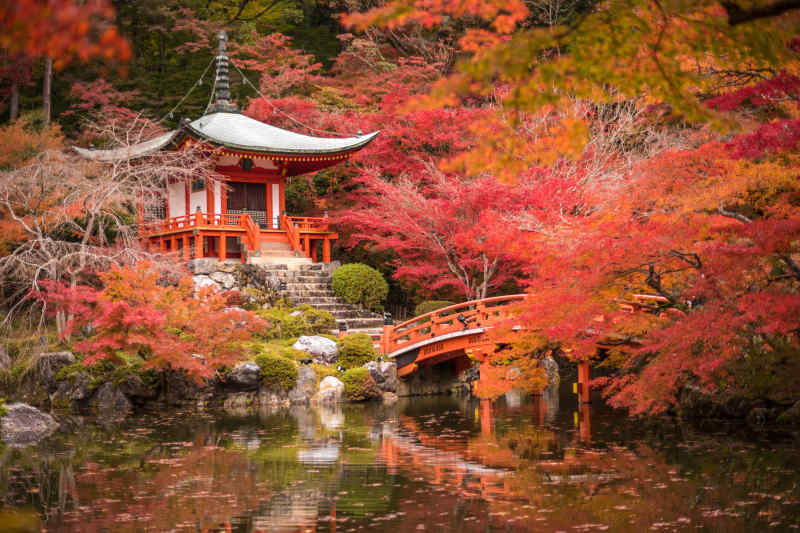 Japanese Garden