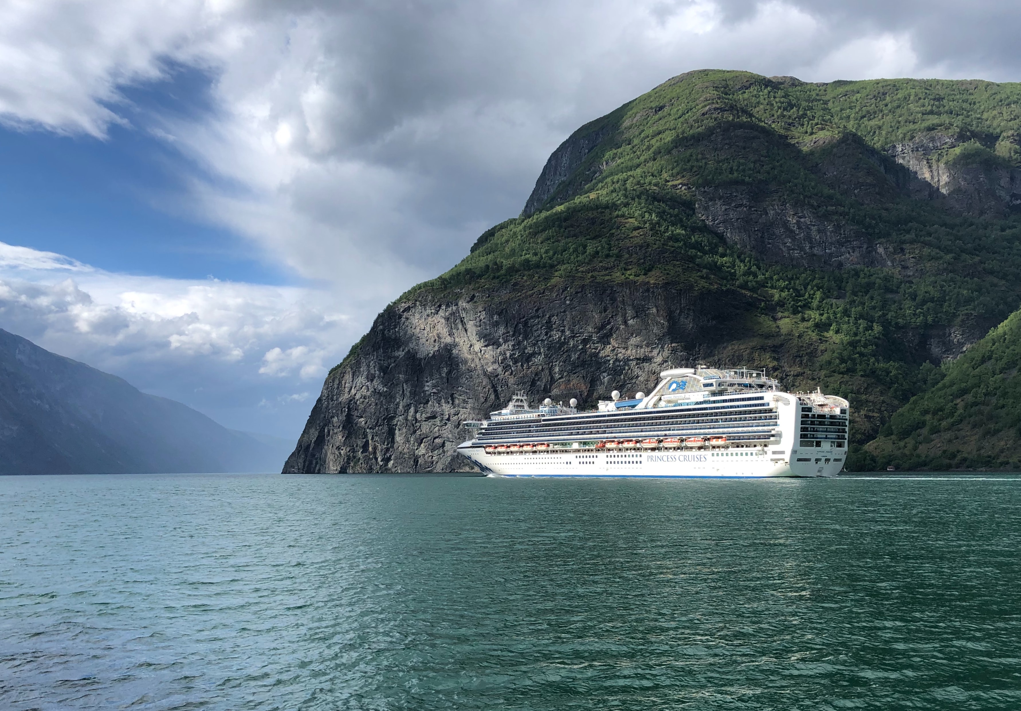 Cruise ship on open waters